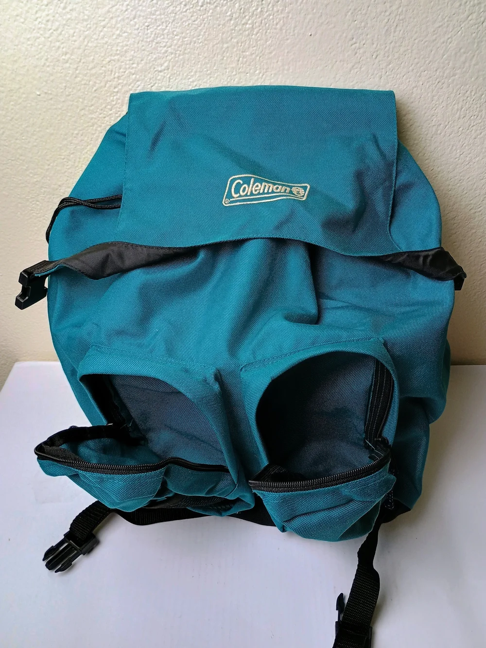 Coleman Teal Backpack - Durable Men’s Daypack - Hiking Camping Hunter